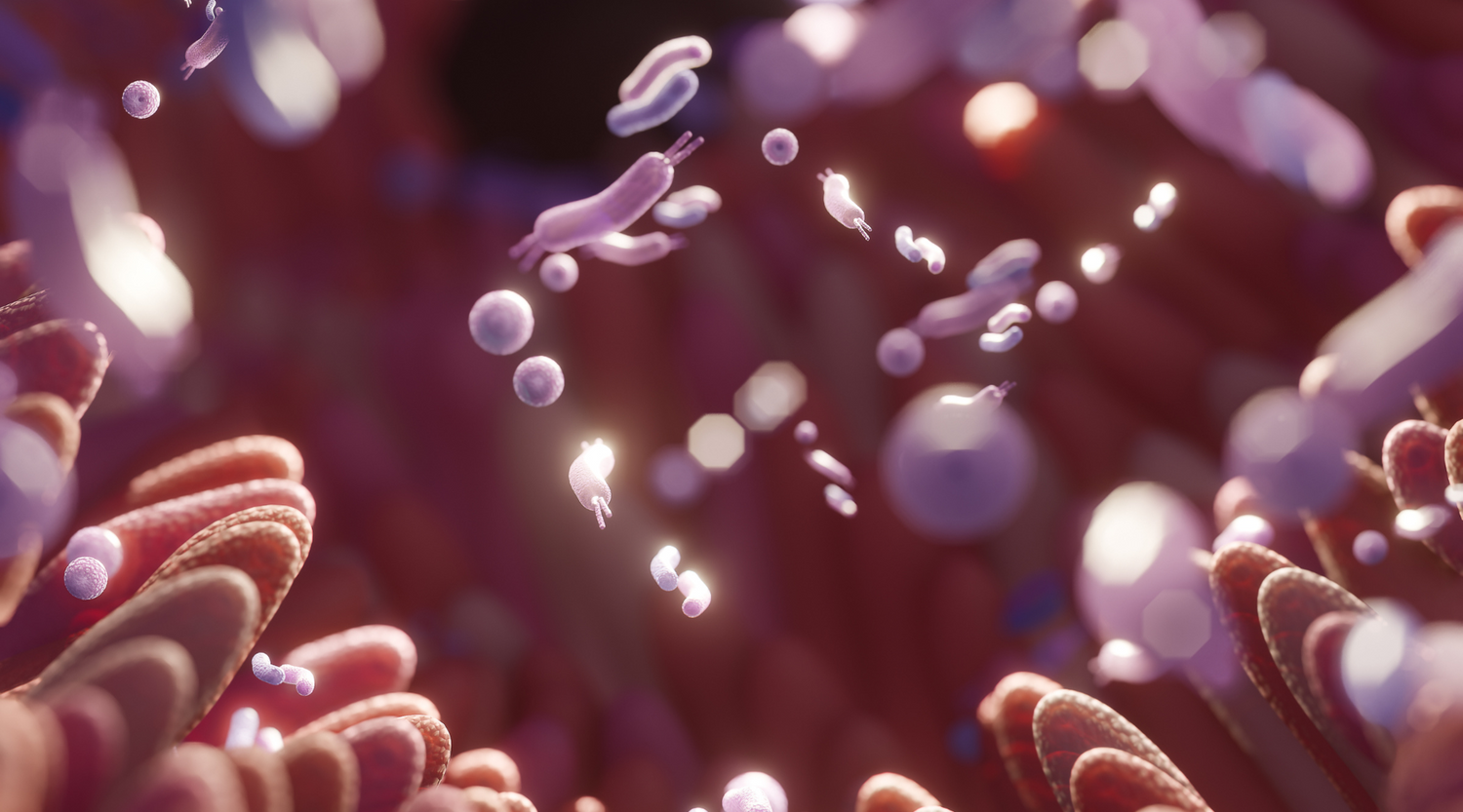 The Gut-Skin Connection: How Your Digestive Health Affects Your Skin